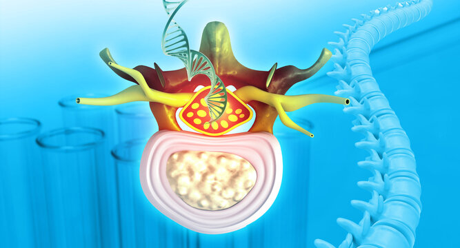 3D human spine cross section anatomy with DNA strand on blue scientific background highlighting healthcare, genetics, and medical research concepts.