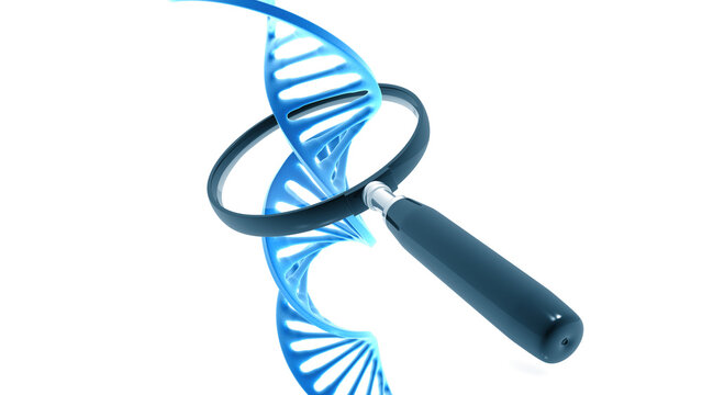 Detailed DNA strand with magnifying glass isolated on white background, genetic analysis, biotechnology and scientific research concept.