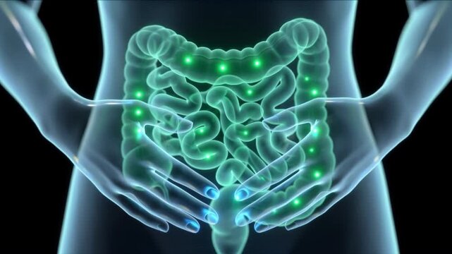 下腹部と手に触れる生体模倣クリスタル腸管構造を示す医療CG背景動画