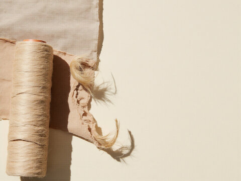 Uncut roll of unbleached hemp paper with torn starter edge, concept of blank beginning