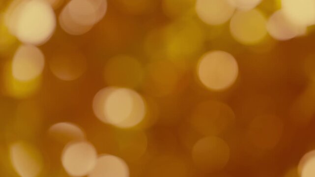Warm sunset light glowing through breeze swayed autumn foliage with honey amber circular bokeh orbs for sophisticated presentation background overlay