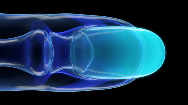 爪甲と爪床および末節骨の生体模倣クリスタル構造を示す医療CG背景