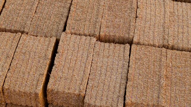 Rectangular straw bales packed in dense rows after cereal harvest. Golden compressed crop residue with rough natural texture and binding twine. Farm material for livestock bedding, biomass use and