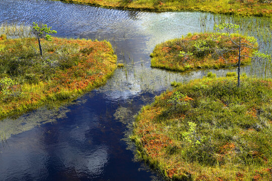 Wonderful views of Lake M&auml;nnikj&auml;rv and the bog surrounding it, Estonia