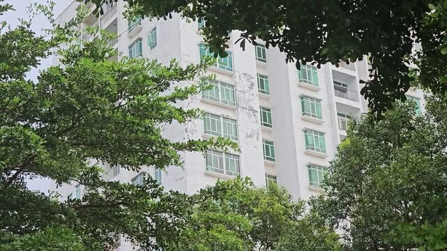 Static 3x Zoom-In Shot of a Slightly Aged Apartment Building Viewed Through the Fine Needle-Like Foliage of a Tropical Almond Tree, Capturing Urban Architecture Framed by Green Leaves