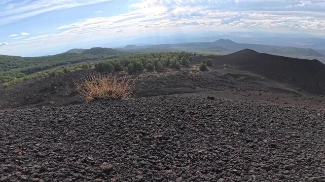 volcanic landscape with numerous cinder cones, both recent and older, Etna Park