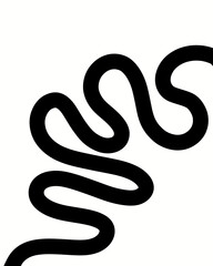 Fototapeta premium Black Line Abstract Wavy Curve for Graphic Design