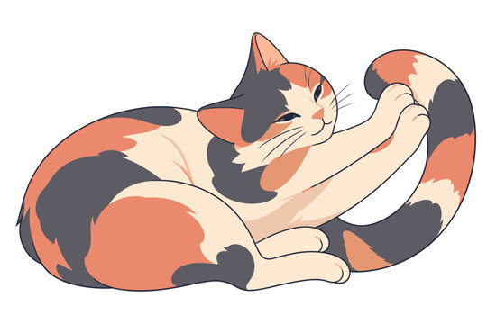 Calico cat reclining in a curled pose with one foreleg reaching toward its looped tail and half-closed green eyes in an outlined illustration