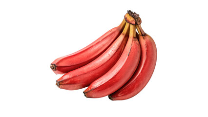 Bunch of fresh red bananas exotic raw organic tropical fruits harvest isolated on transparent background © Rhea