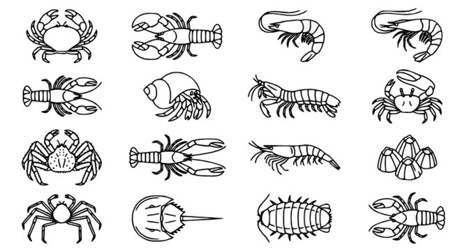 Crustacean Vector Icon Set with Crabs Lobsters Shrimp and Crawfish