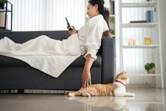 Life with Pet. Woman on sofa using phone  at home with Orange tabby cat sitting  nearby.