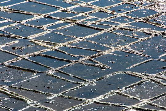 Tessellated Pavement - Tasmania - Australia