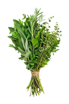 Fresh aromatic green herbs bouquet, including sage, parsley, rosemary, and thyme, tied with twine on a clean white background