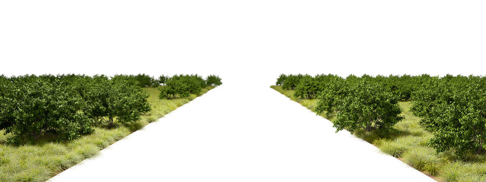 Green Shrubs side way with empty path perspective view 3d illustration png
