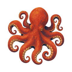 octopus, tentacles, kraken, sea creature, marine life, ocean animal, mollusk, tentacles, red, purple, soft © Yasalman