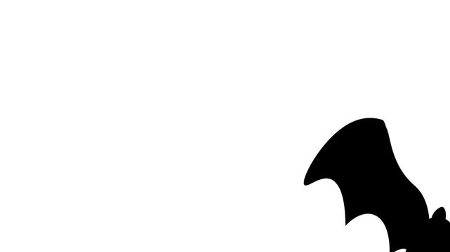 Black bat silhouettes flying across a clean white background. 2D flat seamless looping animation. Ideal for Halloween and spooky themed video transitions.