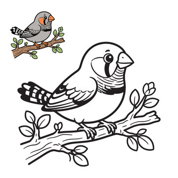 Cute zebra finch bird sitting on a tree branch vector illustration
