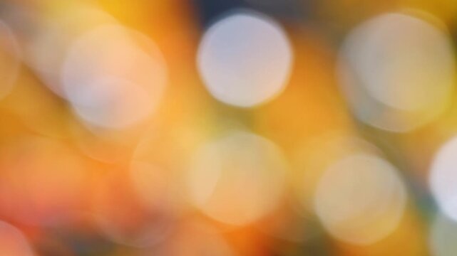 Sparkling defocused golden fall foliage in warm sunlight, blurred autumn leaves bokeh lights texture for abstract seasonal background.