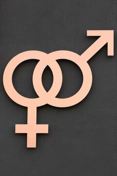 Gender equality symbol on a wall