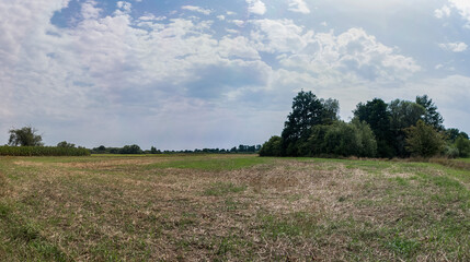 Panorama pola uprawnego w obszarze wiejskim w porze letniej po zbiorach, lekko pochmurna pogoda a w oddali drzewa © mbugajsky