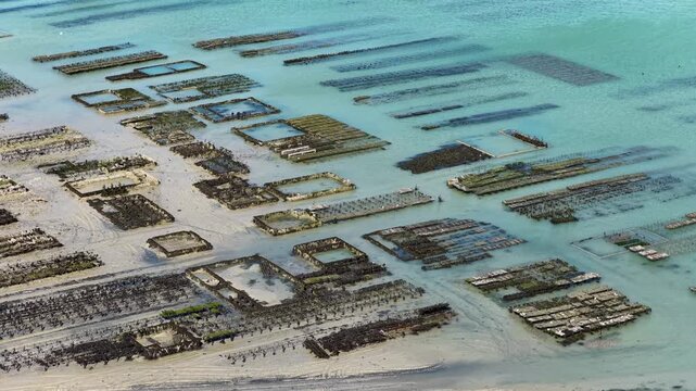 The oyster beds of Cancale in the Ille-et-Vilaine department of the Brittany region in France form a historic coastal site known for traditional oyster farming and wide tidal landscapes.