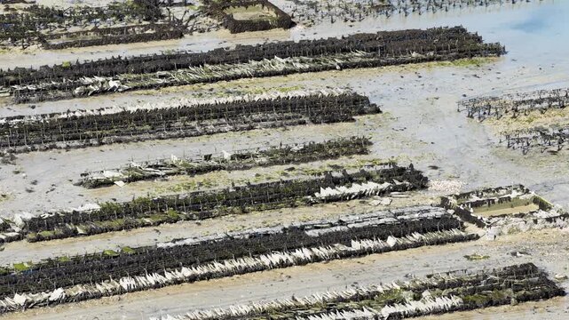 The oyster beds of Cancale in the Ille-et-Vilaine department of the Brittany region in France form a historic coastal site known for traditional oyster farming and wide tidal landscapes.
