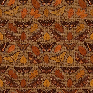 Seamless pattern of various moths and autumn leaves on burlap texture