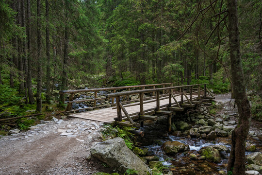 A simple wooden timber stringer bridge spans a bubbling, rock-filled mountain stream, surrounded by tall pine trees and mossy ground in the Tatras Mountains in Zakopane, Poland.