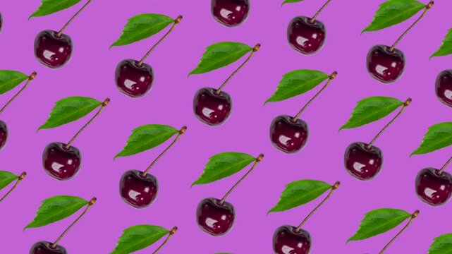 Trendy fashion berry animation background of many moving red cherries with leaf on pink background