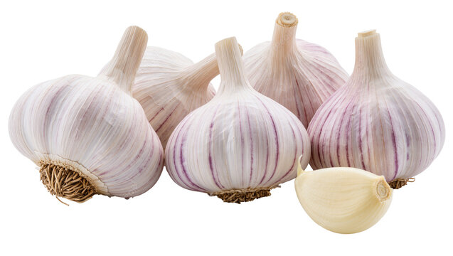 Group of fresh garlic bulbs with one clove separated, isolated on transparent background