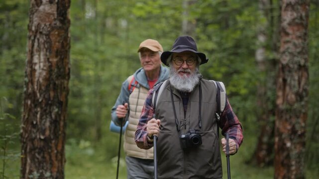 Senior Caucasian male tourists hiking with trekking poles along forest path. Clip suitable for active retirement campaigns, ecotourism and healthy aging marketing