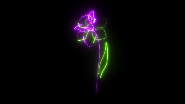 Neon flower glowing in vibrant green and magenta colors, this luminous blossom features a minimal continuous line art style on a dark background.
