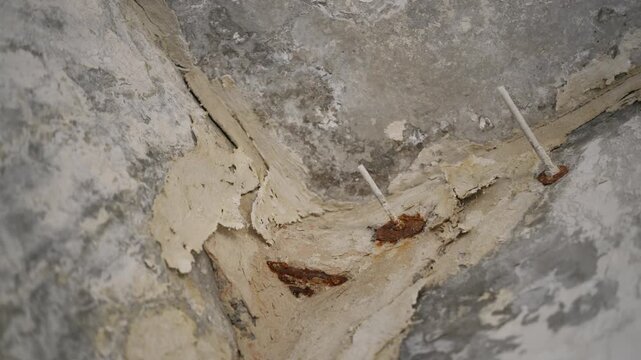 Rusted rebar rods protrude from the spalled concrete ceiling corner in close-up detail. Severe metal corrosion and structural degradation showcase critical restoration requirements.