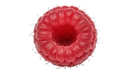 Single ripe red raspberry with tiny hairs, isolated on transparent background © Alexandra