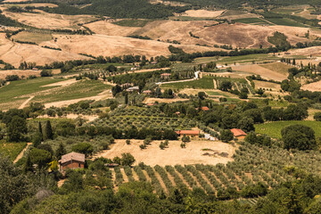 Fototapeta premium Panoramic view of the Tuscan countryside from Montepulciano, Italy. Rolling hills with vineyards, olive groves, farmland and traditional rural houses seen from an elevated viewpoint.