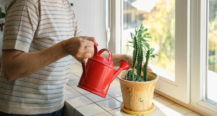 Woman carefully watering potted plant with red watering can beside a bright window at home. Natural daylight and cozy interior, highlighting houseplant care, gardening, everyday lifestyle routine © leroy