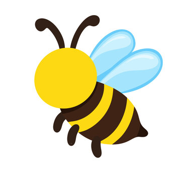 bee and honey vector