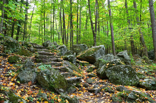 Stone steps covered with autumn leaves in the woods at  Yankee Horse Ridge Overlook trail on the Blue Ridge Parkway Virginia