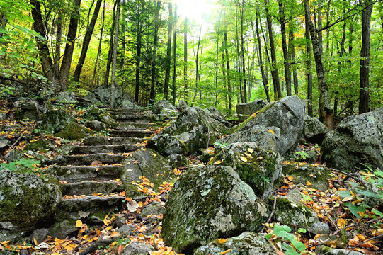 Stone steps covered with autumn leaves in the woods at  Yankee Horse Ridge Overlook trail on the Blue Ridge Parkway Virginia