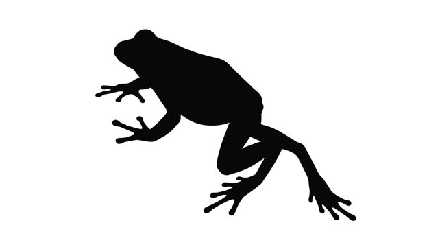 Leaping frog in a dark silhouette against a white background