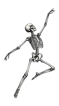 Dancing Human Skeleton Art