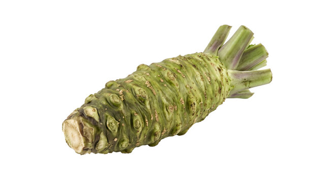 Fresh wasabi root with intricate texture on a transparent background