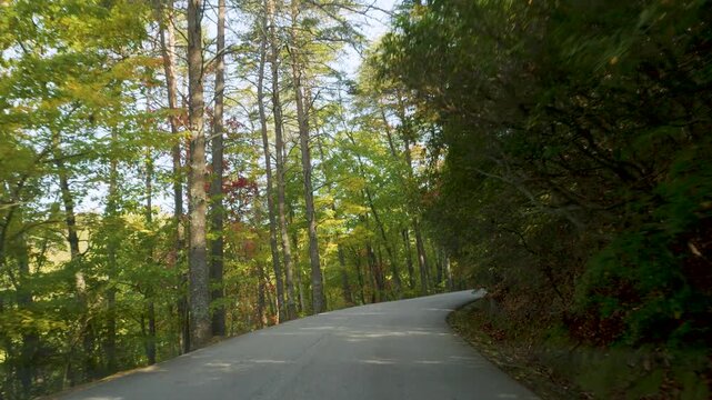 Vibrant Fall Park Forest. POV Driving Car at Mountains Road With Autumn Fall Foliage on Trees Scenic Road With Colorful leaves. Driving Paris Mountain State Park, South Carolina on Sunny Autumn Day.