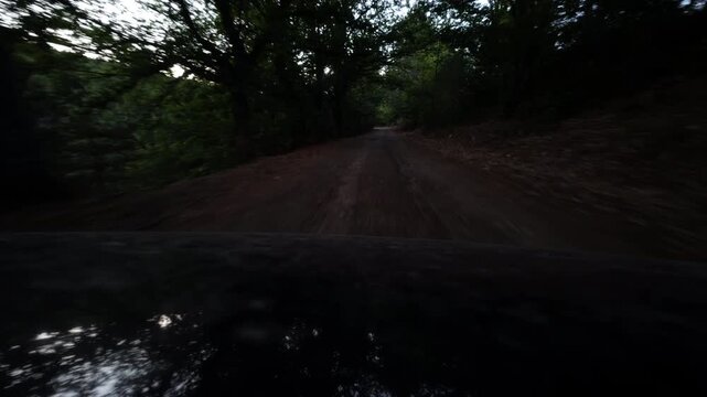 Driving Fast Along a Dark Winding Forest Road at Dusk