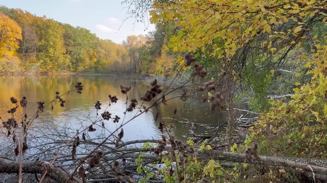  A beautiful landscape by the lake in an autumn forest.
