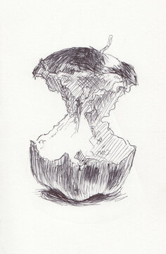 Dibujo de Manzana mordida con lapicero gris