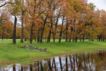 Naklejka premium Golden oak trees line a calm riverside meadow with old stone steps leading to the water, autumn reflections mirrored on the surface and a peaceful, natural park atmosphere