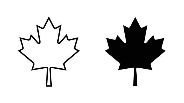 Vector illustration of maple leaf outline and silhouette icon vector on a transparent background