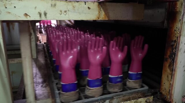 Rows of pink coated work gloves on hand formers moving out of a curing oven on a conveyor in a Japanese glove factory