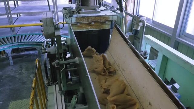 Lumps of raw natural rubber sliding down a steel chute into a mixing machine in a Japanese rubber band factory